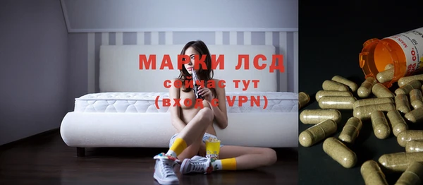 стаф Алексин