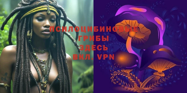 спайс Алзамай